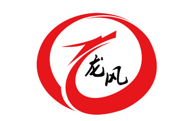1589184952209293.jpg 龍風(fēng)logo.jpg